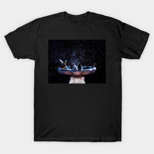 Getting Wet T-Shirt